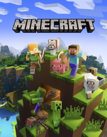 Minecraft Multiplayer Game